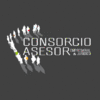 CONSORCIO ASESOR DEL SURESTE