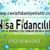 NISA FIDANCILIK