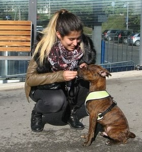 Nouveaux ! Cours Chiot à Lausanne